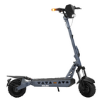 Trittbrett Hilde — Frontansicht mit 50 Lux LED + Fernlicht